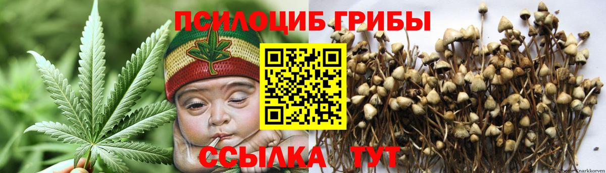 Псилоцибиновые грибы мицелий  магазин  наркотиков  Благовещенск  Вход с VPN  Галлюциногенные грибы MAGIC MUSHROOMS 